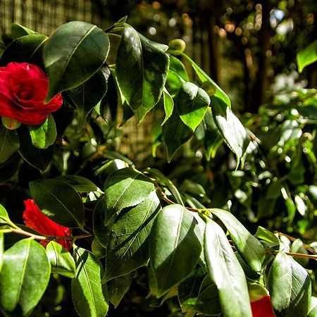 Fior Di Limone Διαμέρισμα Σέστρι Λεβάντε Εξωτερικό φωτογραφία