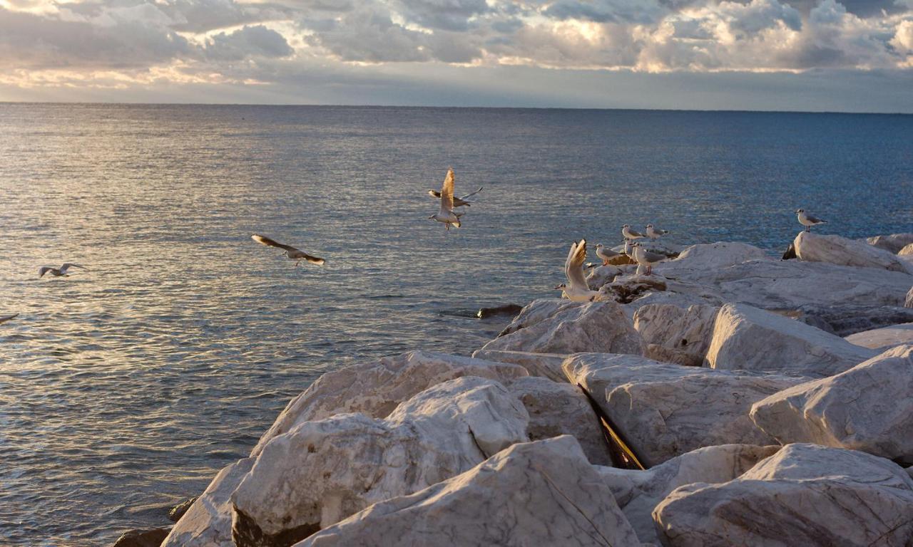 Fior Di Limone Διαμέρισμα Σέστρι Λεβάντε Εξωτερικό φωτογραφία